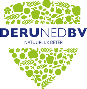 logo-1 logo-1